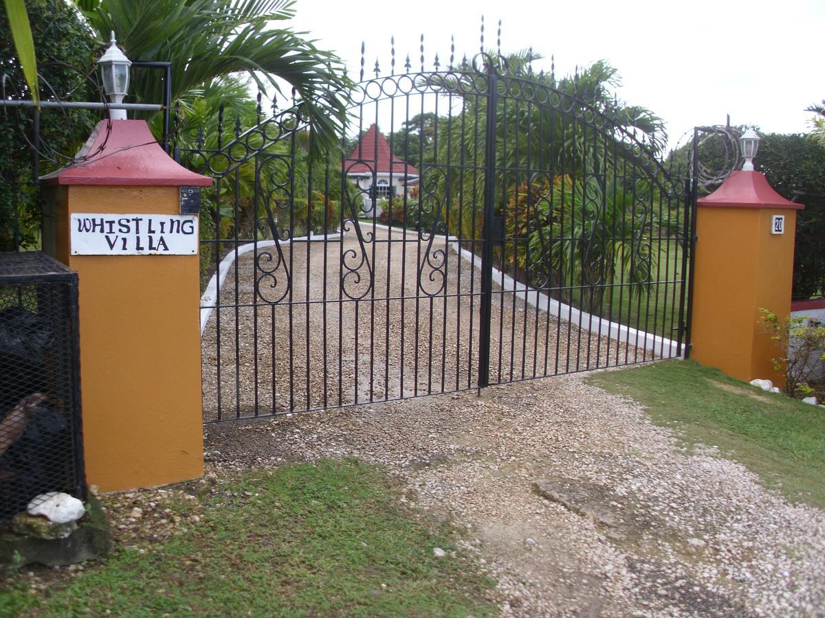 Whistling Villa Runaway Bay Exterior foto